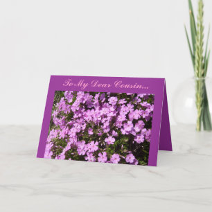 Aan Mijn Beste Neef… Kaart