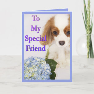 Aan mijn speciale vriend Cavalier King Charles Spa Kaart
