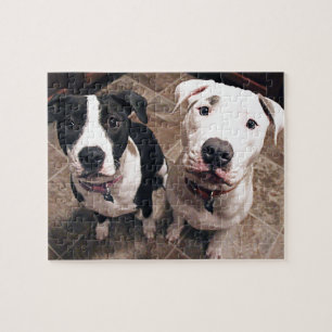 aanbiddelijke pitbull puppy's honden legpuzzel