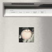 Aanbod Magneet (Insitu (Vaatwasser))