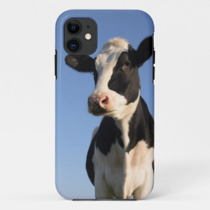 Aandachtige koe iPhone 11 hoesje