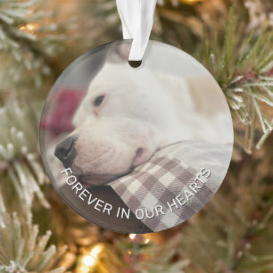 Aandenken Pootafdrukken In Je Hart Ornament
