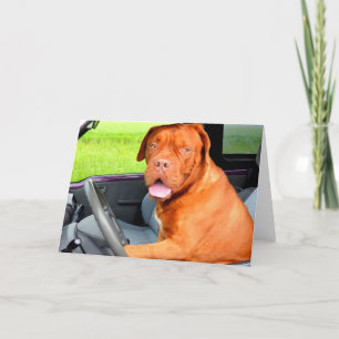 Aandrijving aan de vreugdehond dogue DE Bordeaux Feestdagen Kaart