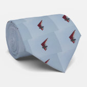 Aangedreven hang glider stropdas (Opgerold)