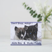 Aangenomen honden briefkaart (Staand voorkant)