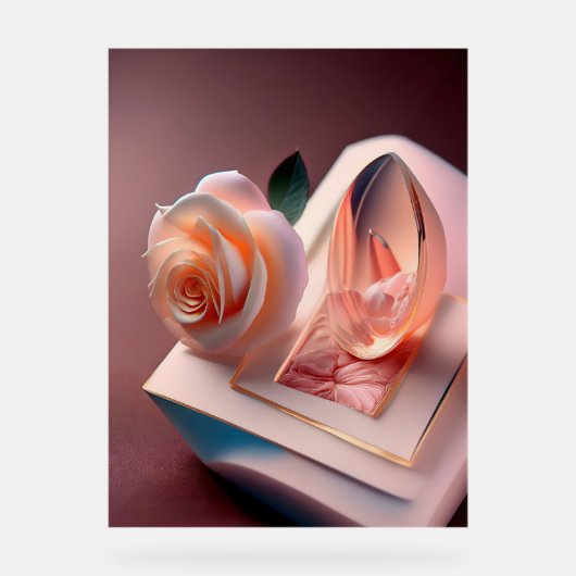 Aangepast 18 "x 24" Acryl Teken Acryl Bord (Voorkant)