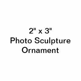 Aangepast 2 x 3-inch fotobeeldvormingsornament fotobeeldje ornament