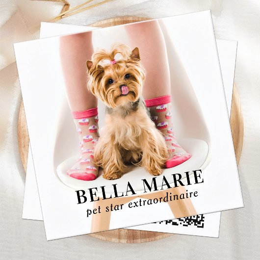 Aangepast 3 Foto Modern Pet Influencer Sociale Med Vierkante Visitekaartje