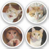 Aangepast 4 Fotocollage minimalistische ronde tiny Sticker (Voorkant)