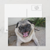 Aangepast aangepast Briefkaart voor persoonlijke f (Voorkant / Achterkant)