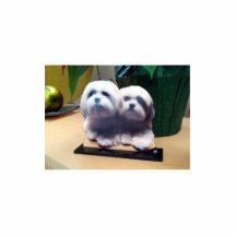 Aangepast acrylfotofragment van hoge kwaliteit