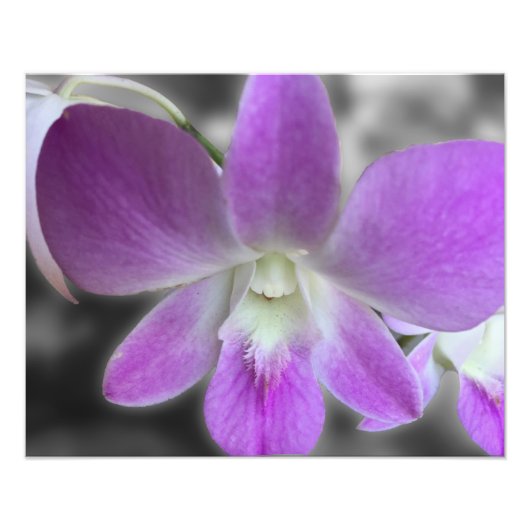 Aangepast Afbeelding Afdrukfoto Resize Foto Afdruk (Voorkant)