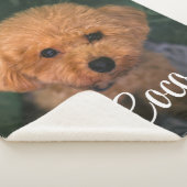Aangepast Afbeelding en naam Cute Dog Blanket Cft Sherpa Deken (3/4)