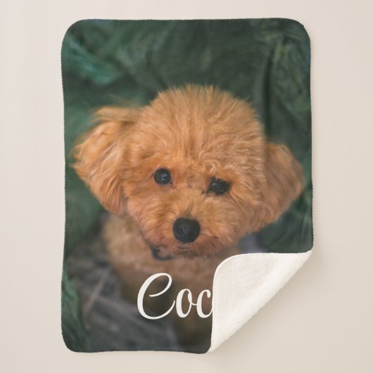 Aangepast Afbeelding en naam Cute Dog Blanket Cft Sherpa Deken (Voorkant)