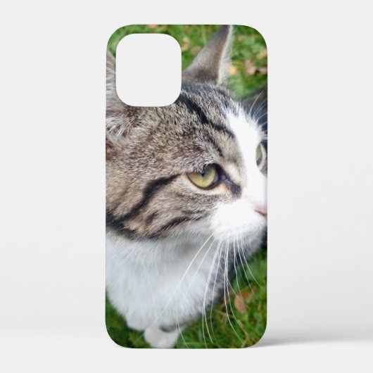 Aangepast afbeelding voor gezelschapsdieren of fam Case-Mate iPhone case (Achterkant)