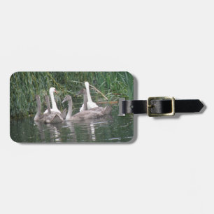 Aangepast Bagagelabel voor swans en Cygnets