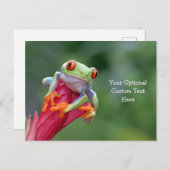 Aangepast Briefkaart Tekstkikker (Voorkant / Achterkant)