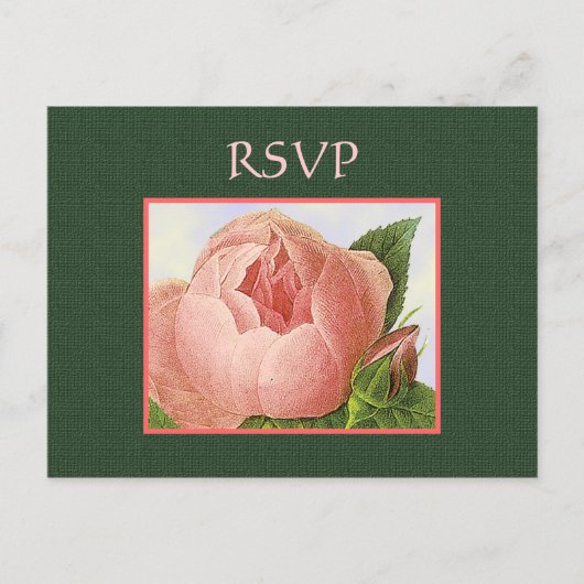 Aangepast Briefkaart voor botanische roze roze roz (Voorkant)