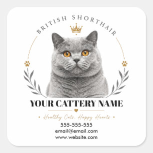 Aangepast Brits Korthaar Fokkerij Logo Contact Vierkante Sticker
