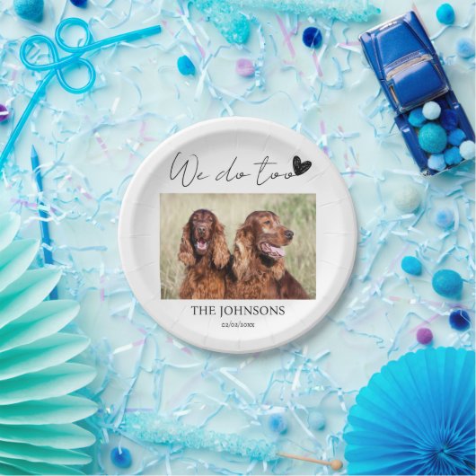 Aangepast dat we het huishuwelijk doen papieren bordje (Feest)