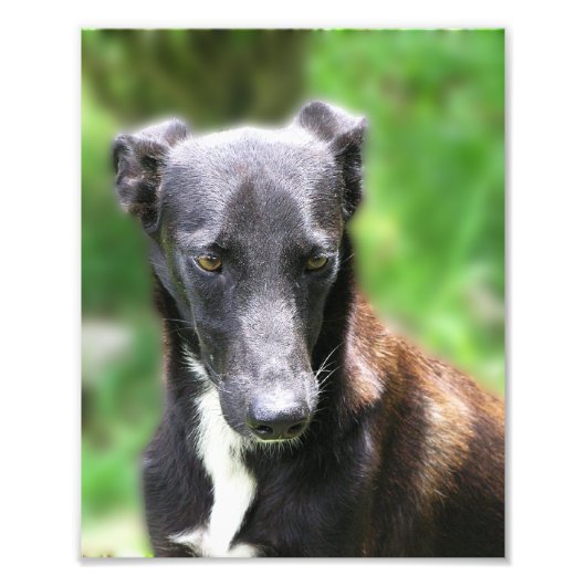 Aangepast formaat 8 x 10 foto afdrukken afdruk (Voorkant)