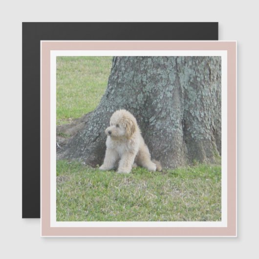 Aangepast fotosjabloon Meisje roze moderne magneet (Voorkant / Achterkant)