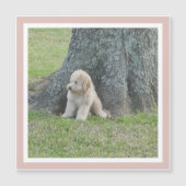 Aangepast fotosjabloon Meisje roze moderne magneet (Voorkant)