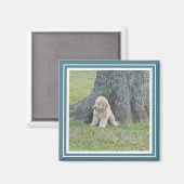 Aangepast fotosjabloon Modern Turquoise & White Magneet (Voorkant / Achterkant)