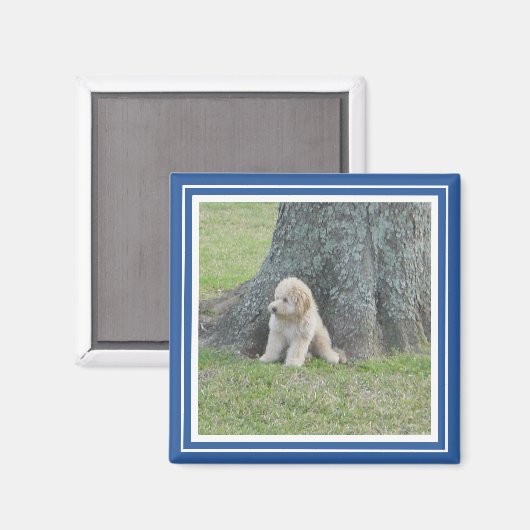 Aangepast fotosjabloon Stijlvol Royal Blue en Whit Magneet (Voorkant / Achterkant)