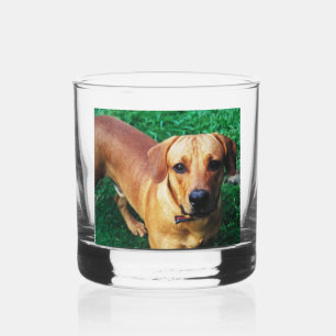 Aangepast gepersonaliseerd whiskyglas met foto whisky glas