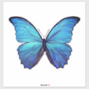 Aangepast gesneden vinylstickers - 1 Blue Morpho B Sticker