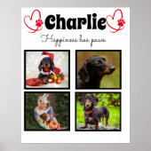 Aangepast hondenliefhebber 4 fotocollage poster (Voorkant)