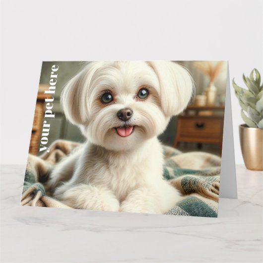 Aangepast Kaart (Kleine Plant)