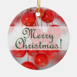 Aangepast kerstrecorder met kerst 2016 met Berry's Keramisch Ornament