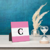 Aangepast kleurenblok fotoplaat (Insitu)