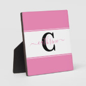 Aangepast kleurenblok fotoplaat (Voorkant)