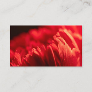 Aangepast op maat voor uw eigen foto- en tekstbedr visitekaartje