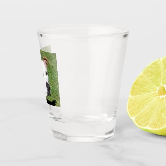 Aangepast opgeblazen glas met afbeelding van gelie (Rechts)