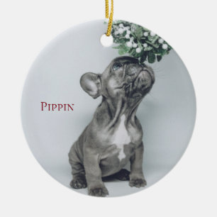 Aangepast Ornament van Puppy Dog Pet Photo Ceramic