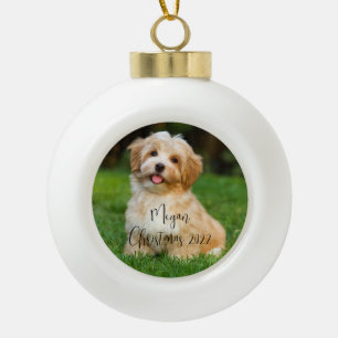 Aangepast Ornament voor Photo Dog Ceramic