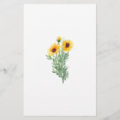 Aangepast papier voor zonnebloempitten (Achterkant)