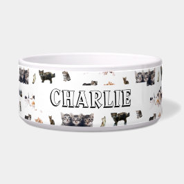 Aangepast patroon met foto's van katten en katjes voerbakje