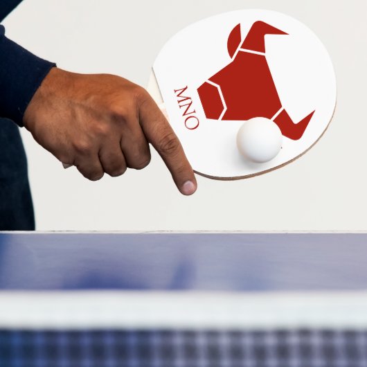 Aangepast pingpongpeddel tafeltennisbatje (Insitu)