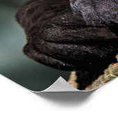 Aangepast Poster voor panter 24 x 16 inch (Hoek)