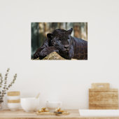 Aangepast Poster voor panter 24 x 16 inch (Keuken)