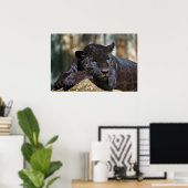 Aangepast Poster voor panter 24 x 16 inch (Thuiskantoor)