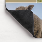 Aangepast schapfotocollage muismat (Hoek)