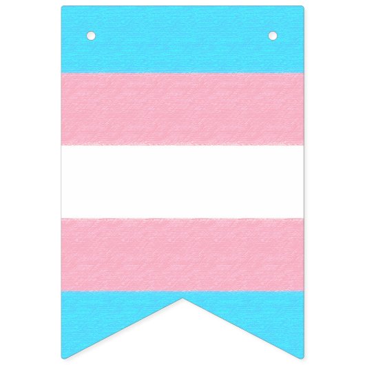 Aangepast voor transgenderprijs vlaggetjes (Eerste vlag)