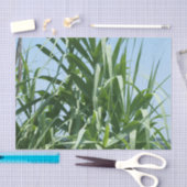 Aangepast weefselpapier tissuepapier (Craft)