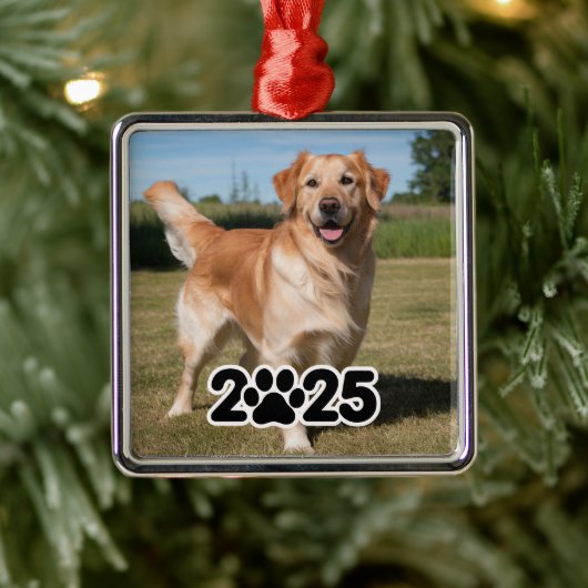 Aangepaste 2025 Pet Foto Metalen Ornament (Boom)